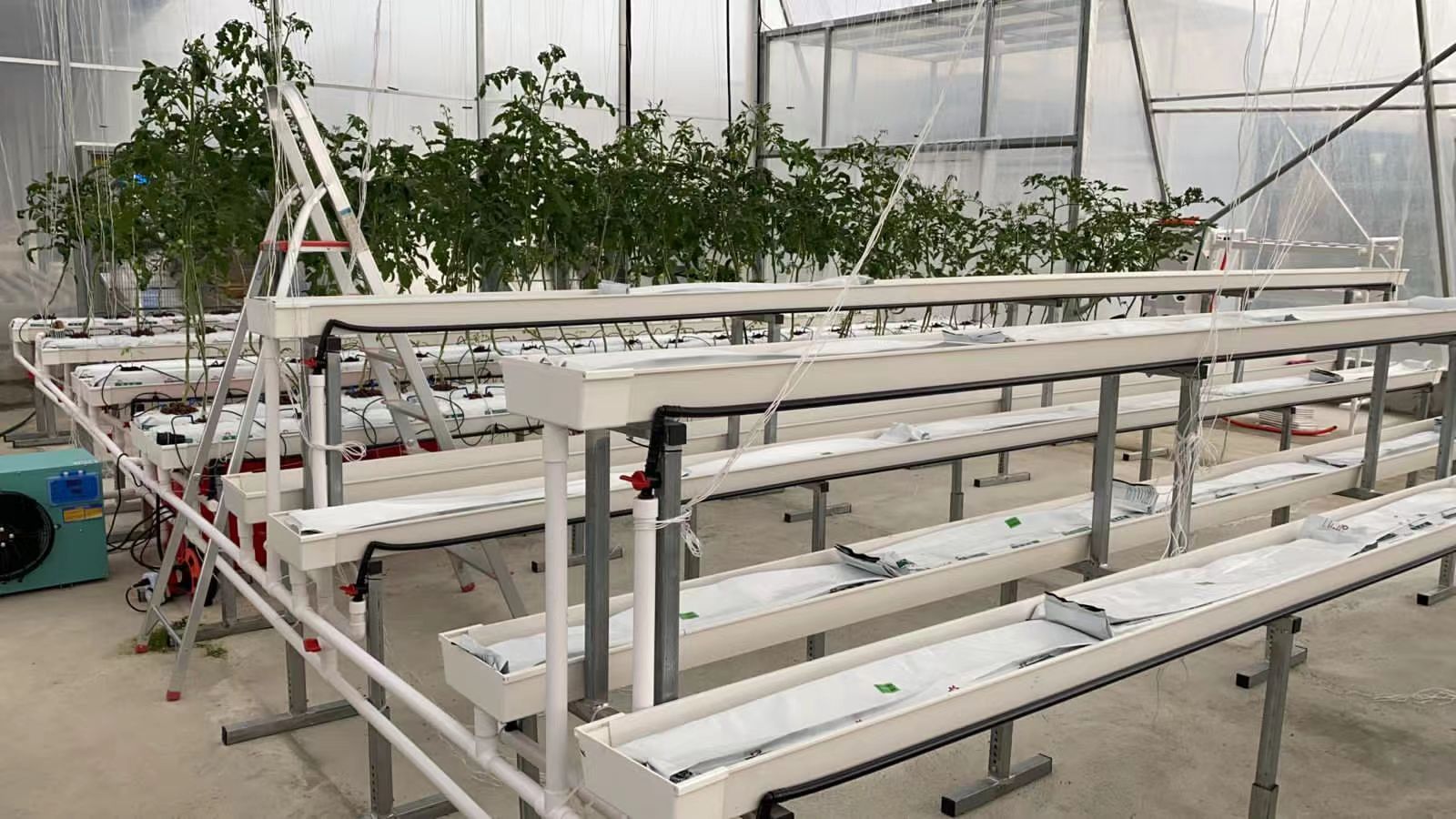 Our Best Hydroponic System for Tomatoes Is Fully Customizable, with All Accessories Ready for One-Stop Purchase