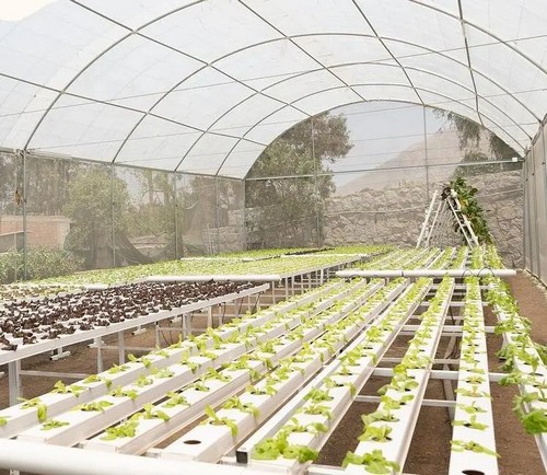 What Modern Farms Need Most?