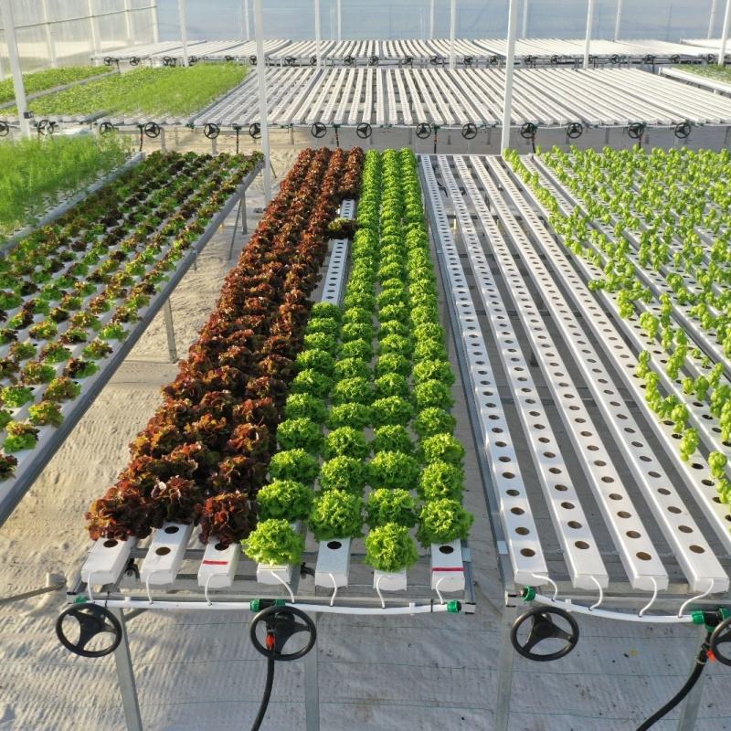 Hydroponic NFT Gutter with Openable Lid 100*50mm Black Inner White Outer NFT Channel for Commercial Lettuce Growing