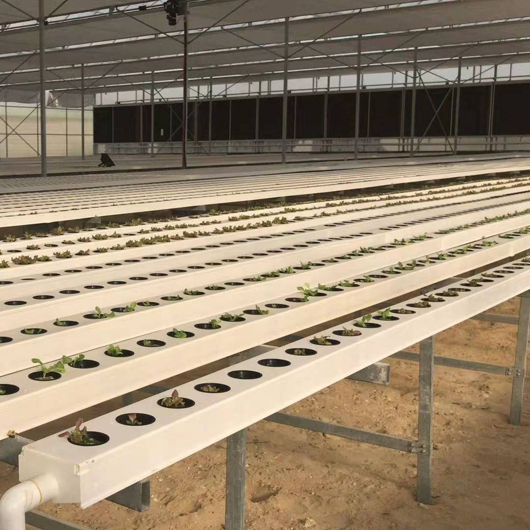 Agriculture Greenhouse Customized Hydroponic NFT Channel Systems with 100x50mm for Larger Root Lettuce Systems