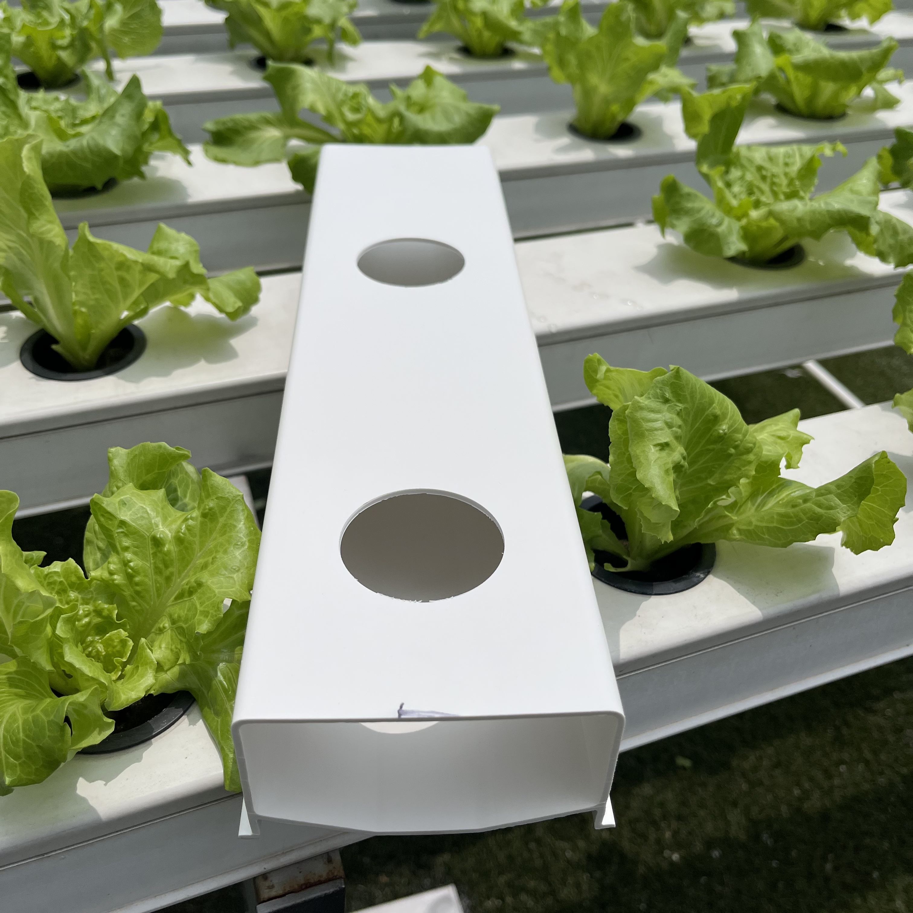 Unopen Lid Design Hydroponic NFT Planting Channel 100*50mm for Commercial Lettuce Growing