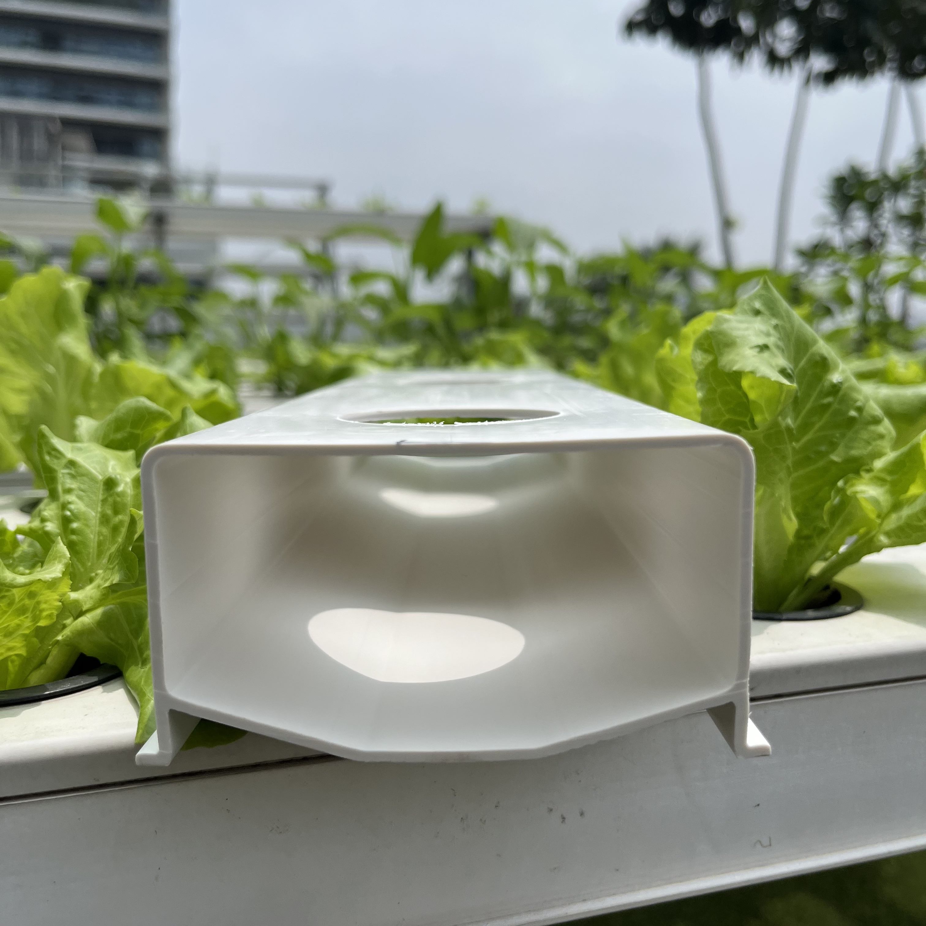 Unopen Lid Design Hydroponic NFT Planting Channel 100*50mm for Commercial Lettuce Growing