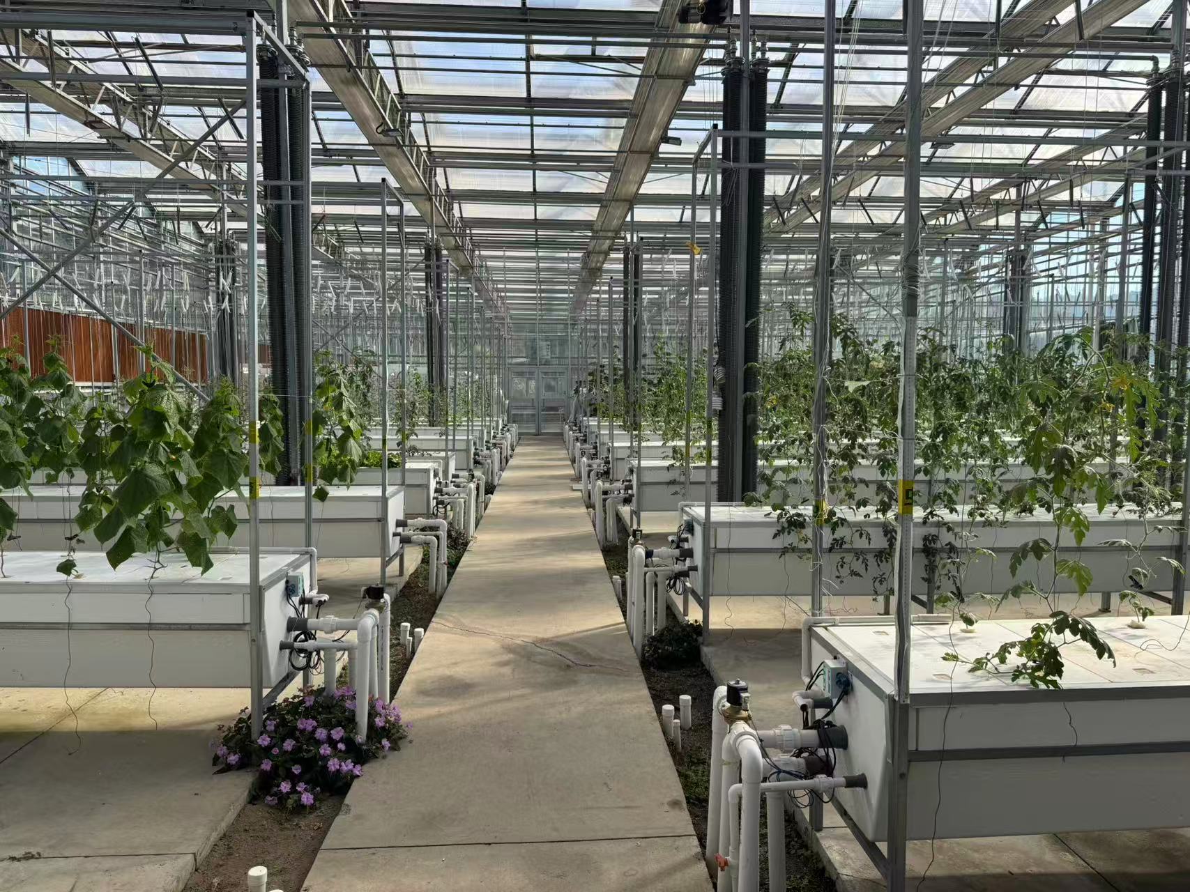 Aeroponic Growing Gutter