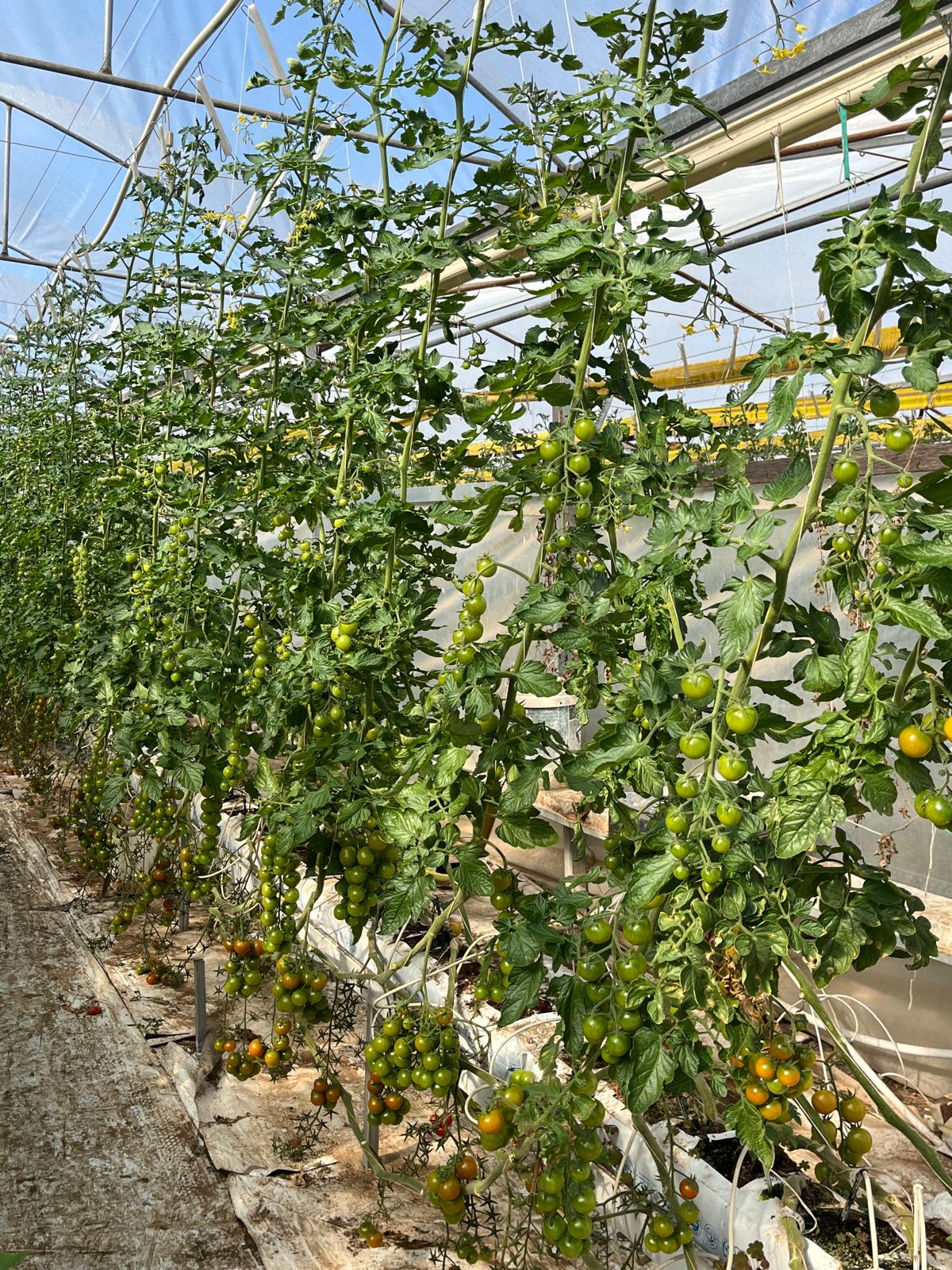 substrate gutter