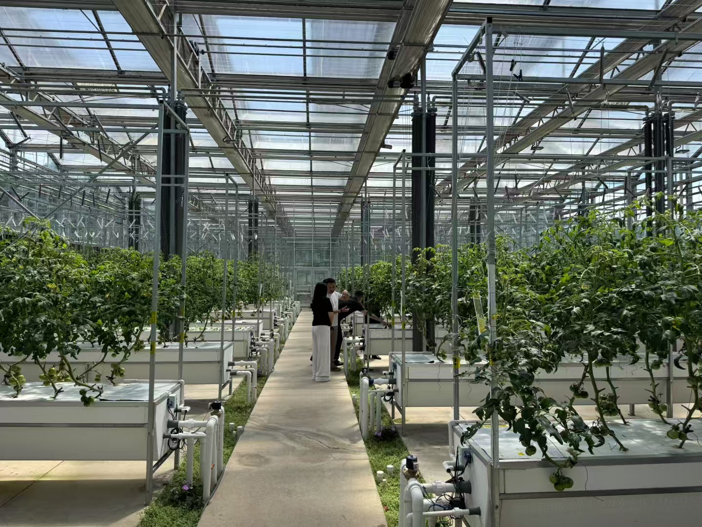 42×29cm Recirculating Aeroponic Growing Gutter Commercial Greenhouse Use
