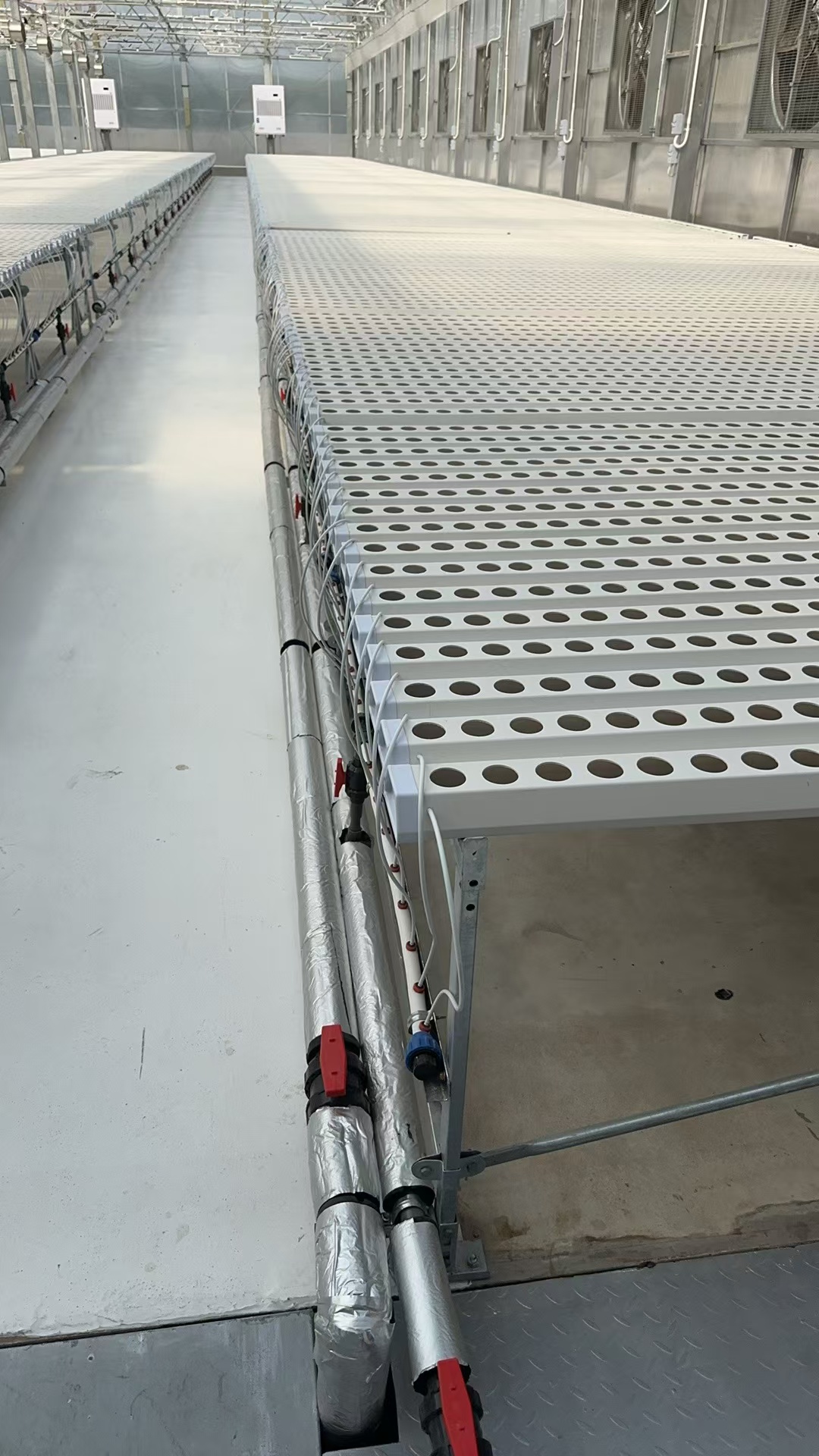 100×50mm Custom Hydroponic NFT Channel System for Lettuce Commercial Greenhouse Farming