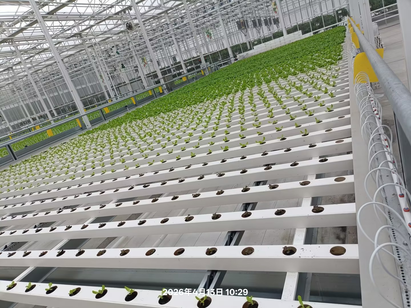 100×50mm Dual Black Inner Layer Integrated NFT Hydroponic Channel Unopen Lid for Greenhouse Lettuce Cultivation