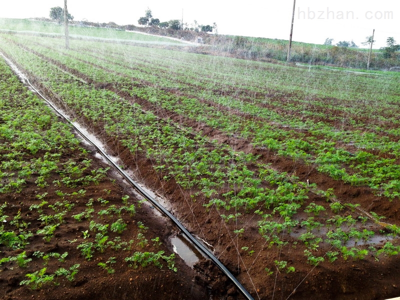 Field Irrigation Sprinklers Manufacturer — Factory-Direct Bulk Supply, Commercial-Grade Quality, Custom-Engineered Coverage for Every Acre