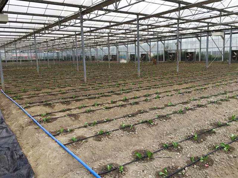 Trusted by Irrigation Installers Worldwide – Factory-Direct Supply, 100% Leak-Tested Quality, Custom System Design Support & Fast Delivery
