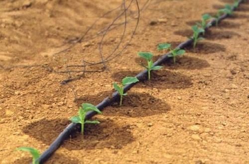 Heavy-Duty Farm Irrigation Sprinkler With Wide Throw Radius and Anti-Clog Nozzles — Factory-Engineered for Reliable Seasonal Supply