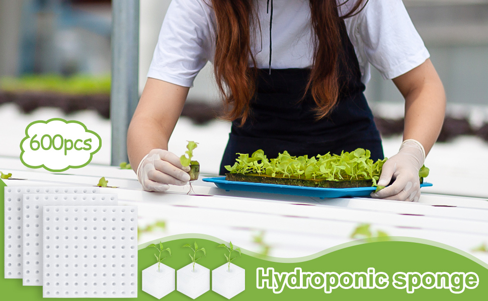 Commercial Vertical Hydroponic Systems With OEM Design Support, Quality-Assured Build, and Bulk Supply — Built for High-Yield Crop Production