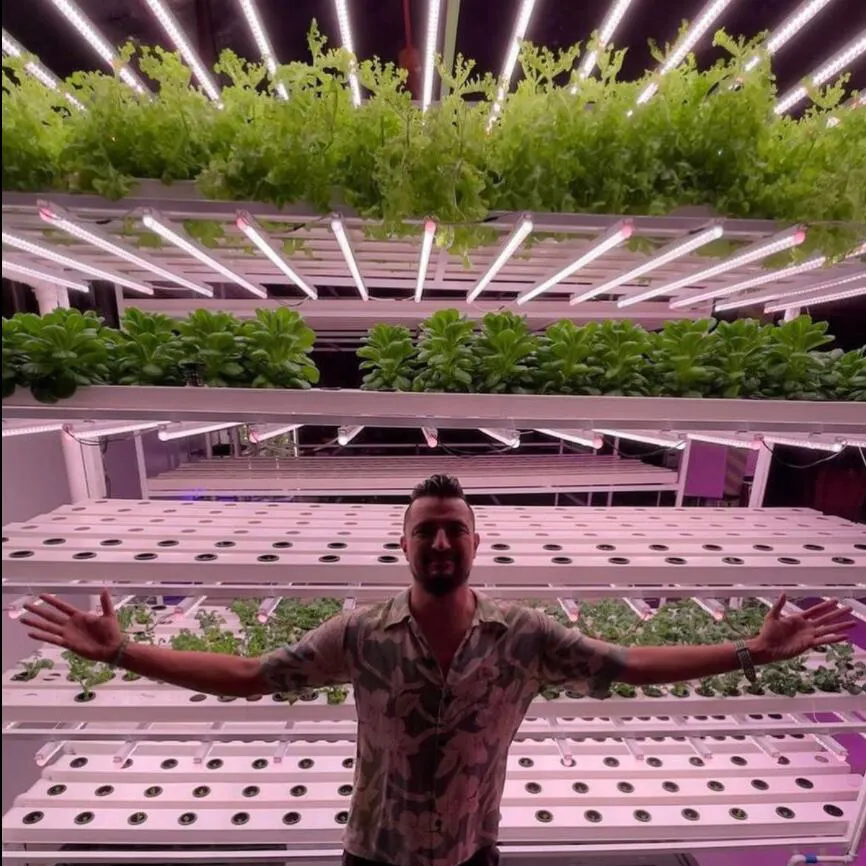 Commercial Hydroponic Systems: A Complete Guide to Water-Saving Agriculture for Modern Growers