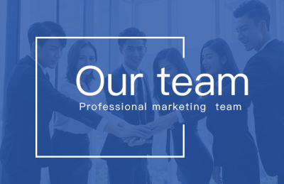 プロフェッショナルチーム