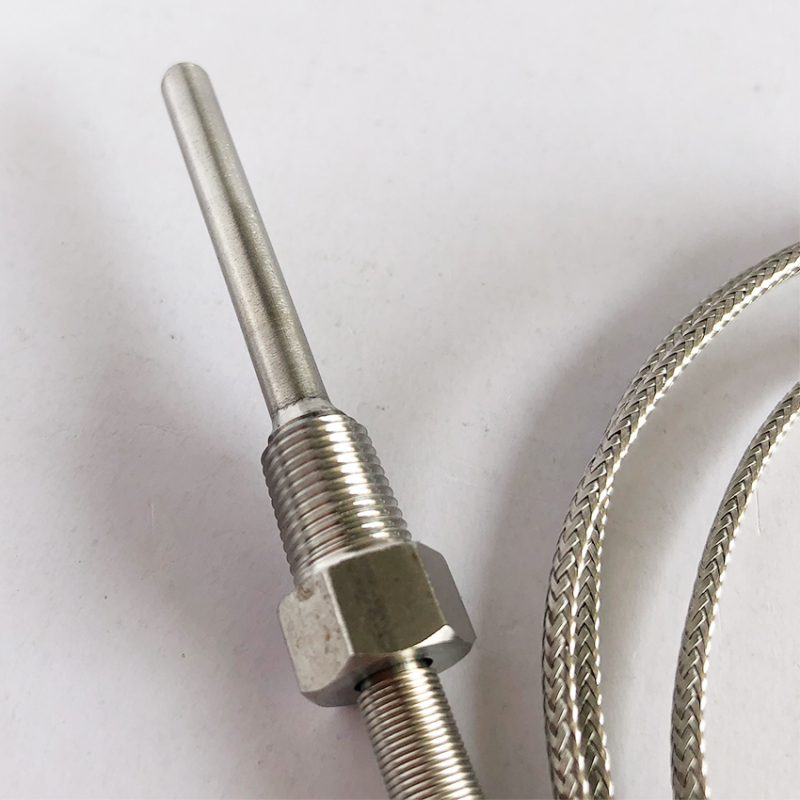 Flexible Compression Spring Temperature Sensor