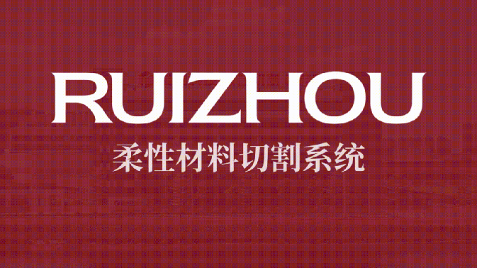 Exchange and matchmaking meeting between Ruizhou and Pakistan