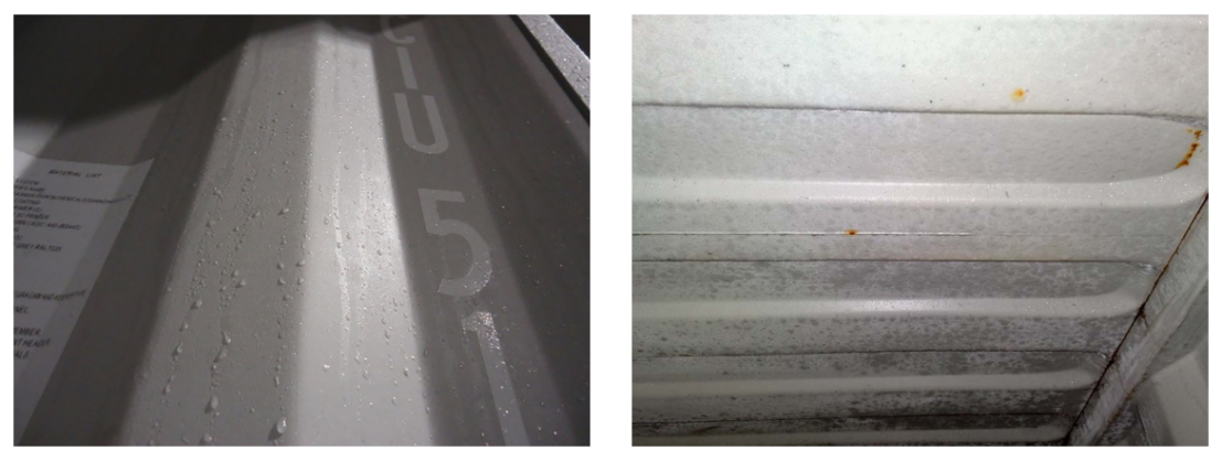 Water Absorbent Paper