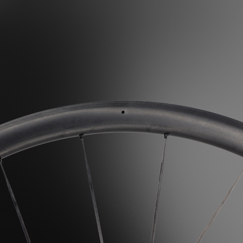 carbon spoke wheels carbon spoke wheels