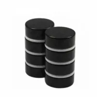 Sort Epoxy Disc NdFeB Magnet leverandør
