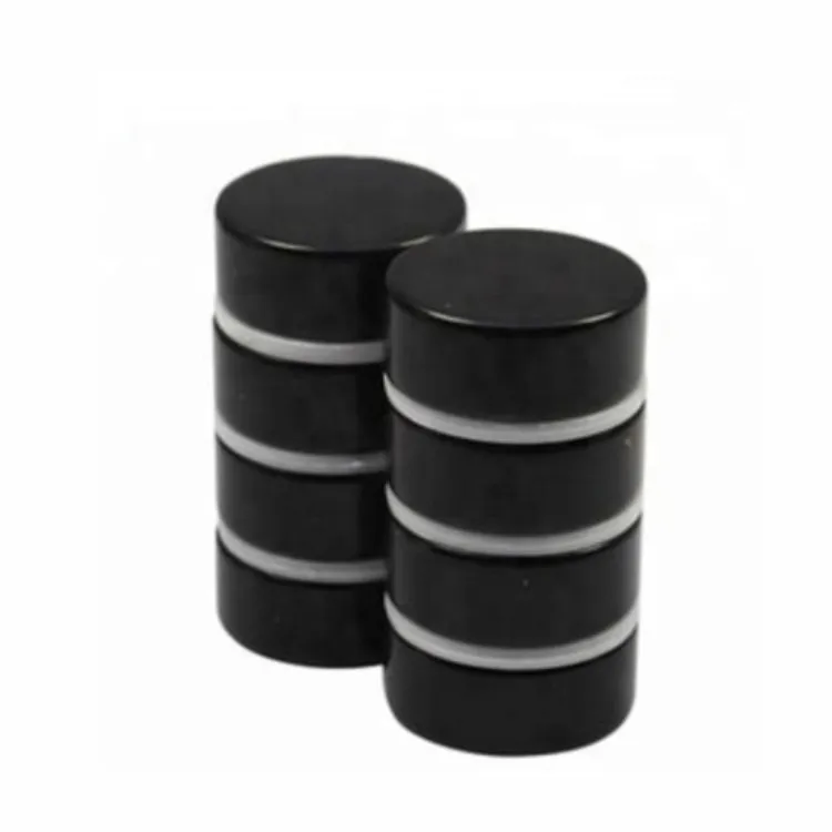 Sort Epoxy Disc NdFeB Magnet leverandør
