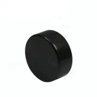 Sort Epoxy Disc NdFeB Magnet leverandør