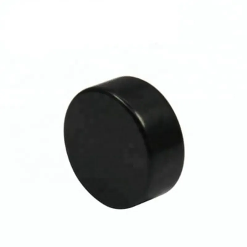 Sort Epoxy Disc NdFeB Magnet leverandør
