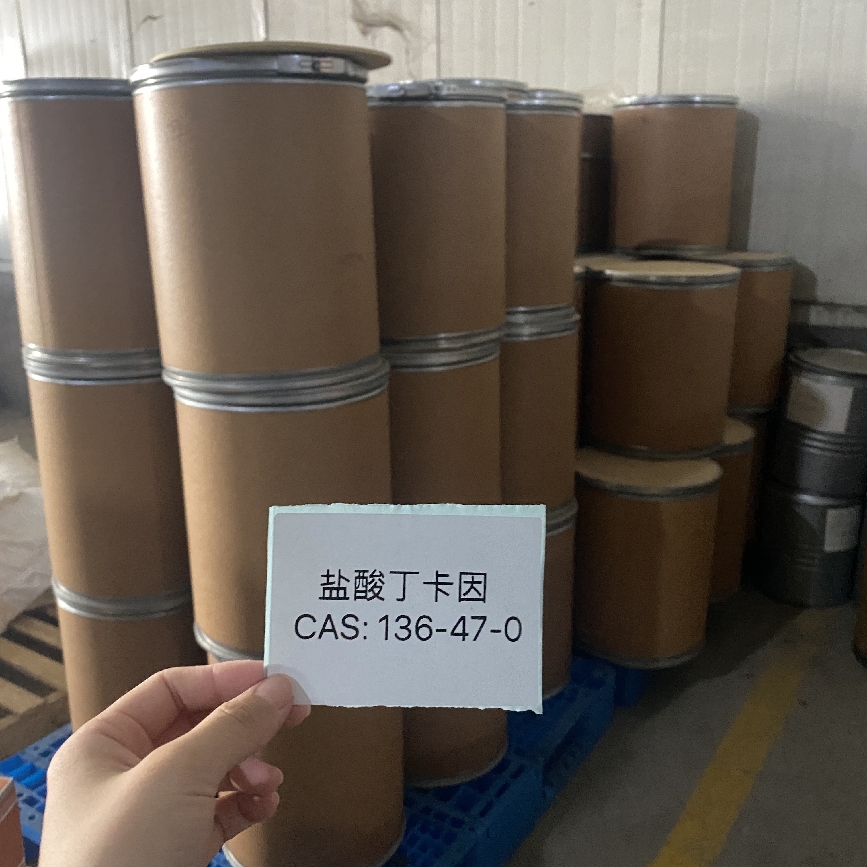 CAS 136-47-0 Tetracaine Hydrochloride 99% White Powder In Stock