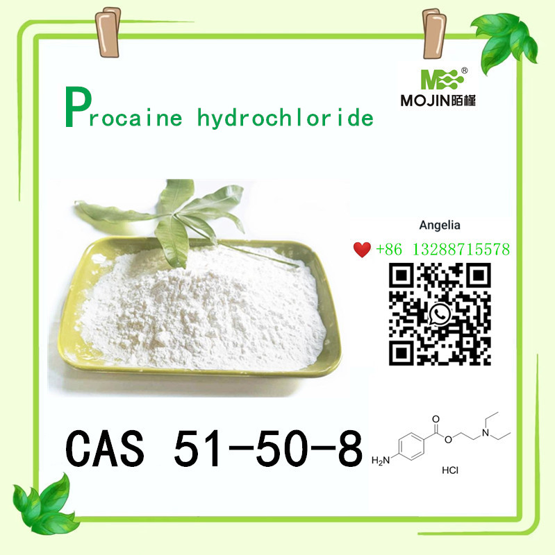 Polvere bianca cloridrato di procaina Cas 51-50-8