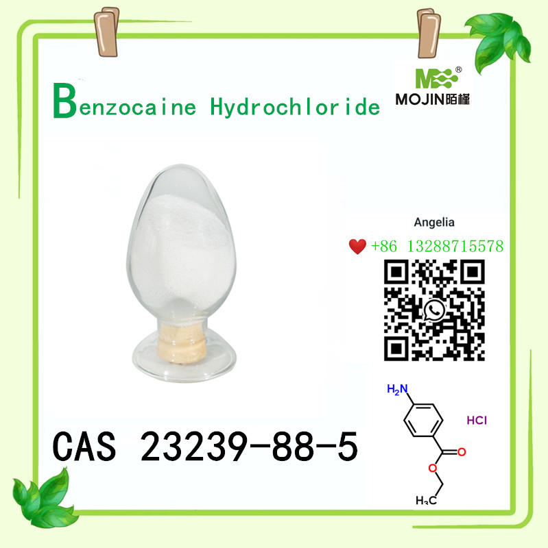 Fehér por, benzokain-hidroklorid Cas 23239-88-5