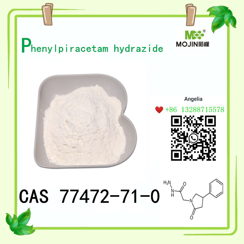 Proszek hydrazydu fenylopiracetamu C12H15N3O2 Cas 77472-71-0