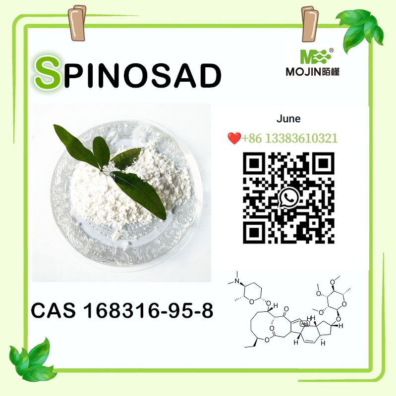 White powder CAS 168316-95-8 SPINOSAD in stock