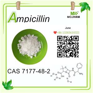 Weißes Pulver Ampicillin CAS 7177-48-2