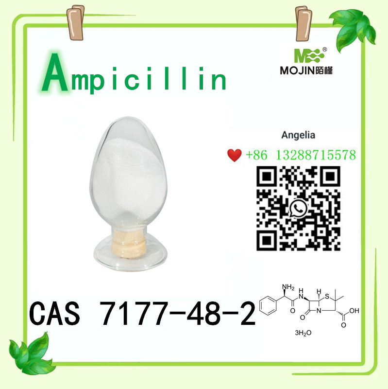 Ampicillinpulver CAS 7177-48-2 Ampicillin