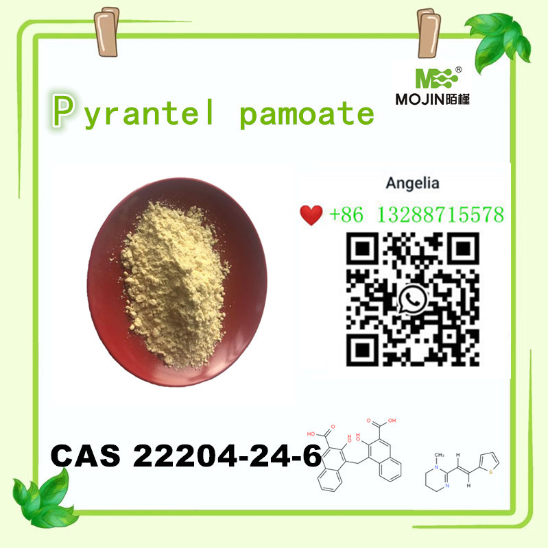 Pyrantel Pamoate Pyrantel Poudre cas 22204-24-6