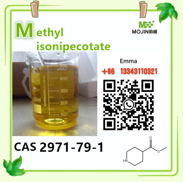 cas 2971-79-1 Methylisonipecotat