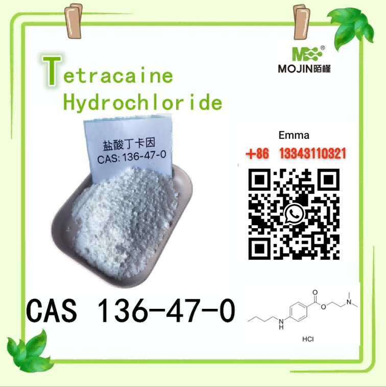 CAS 136-47-0 Tetracaina cloridrato 99% polvere bianca disponibile