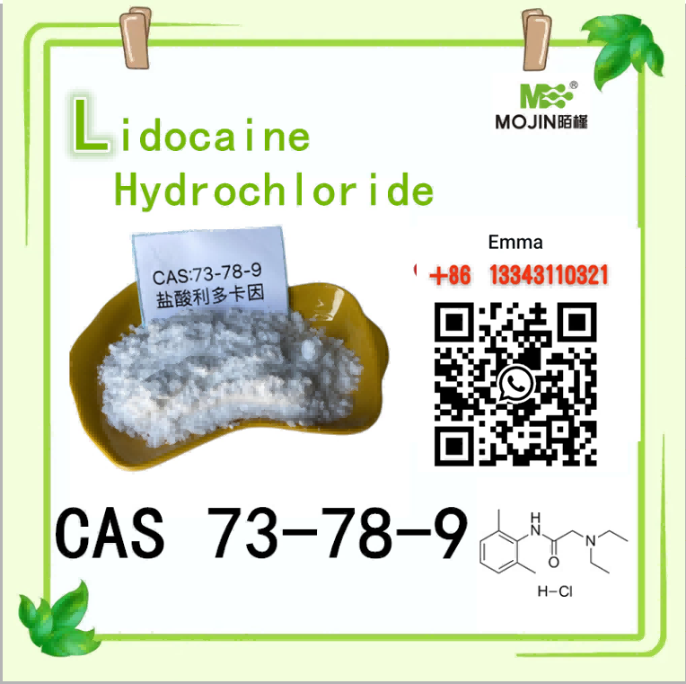 CAS 73-78-9 Lidocaine HCl Råpulver 99% Från lager