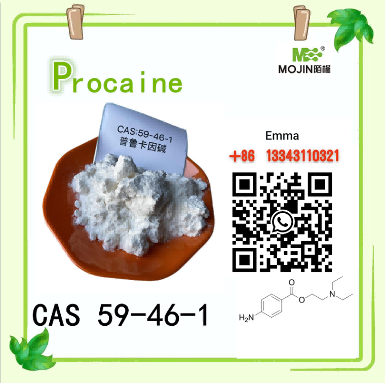 Base de procaína en polvo blanco 99% CAS 59-46-1 disponible