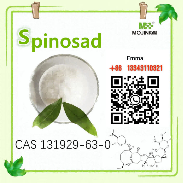 White powder CAS 168316-95-8 SPINOSAD in stock
