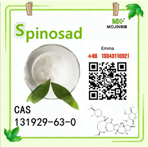 Спинозад CAS
 131929-60-7 прах