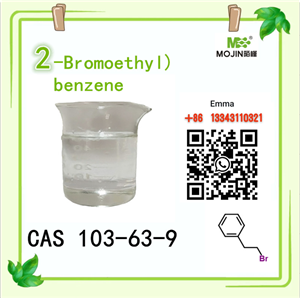 (2-Bromoethyl)benzene CAS 103-63-9 With Ready Stock