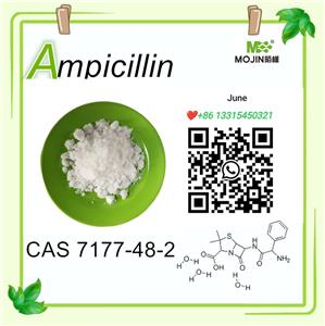 Poudre blanche Ampicilline CAS 7177-48-2