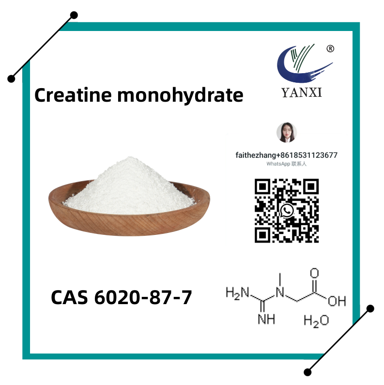 Supplement ng kalamnan Creatine Monohydrate CAS 6020-87-7
