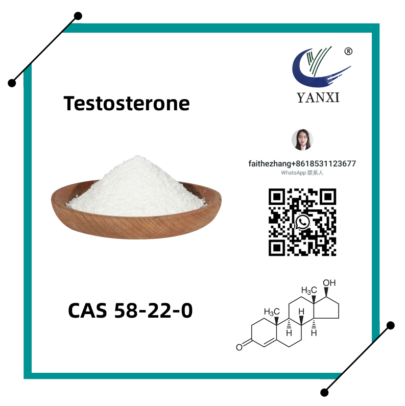 Testosteronpulver CAS 58-22-0