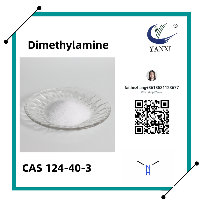 Cas 124-40-3 Diméthylamine / Méthanamine