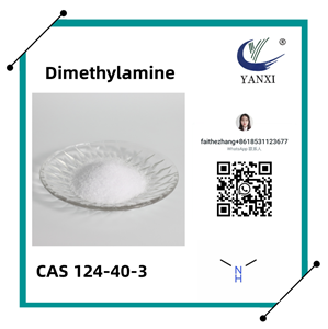 Cas 124-40-3 Dimetyloamina/Metanamina