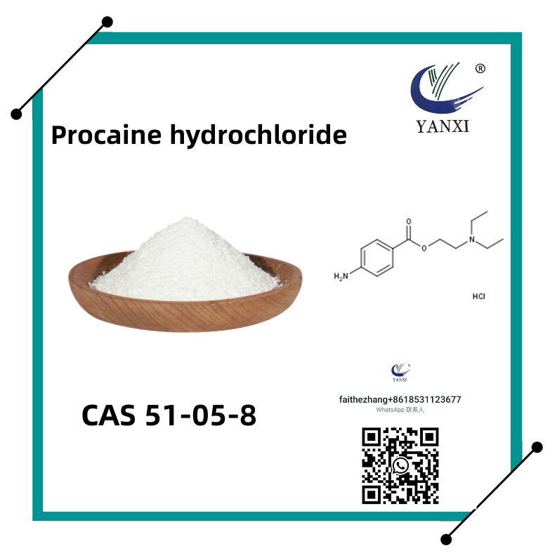 Cas 51-05-8 Clorhidrato de procaína Novocaína HCL