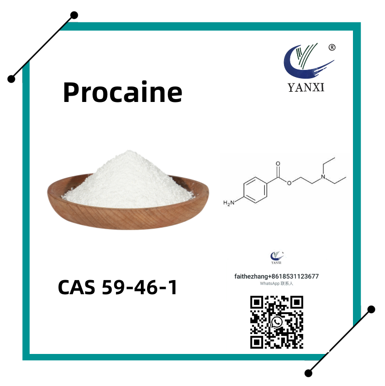 Cas 59-46-1 Procaine/Novocaine