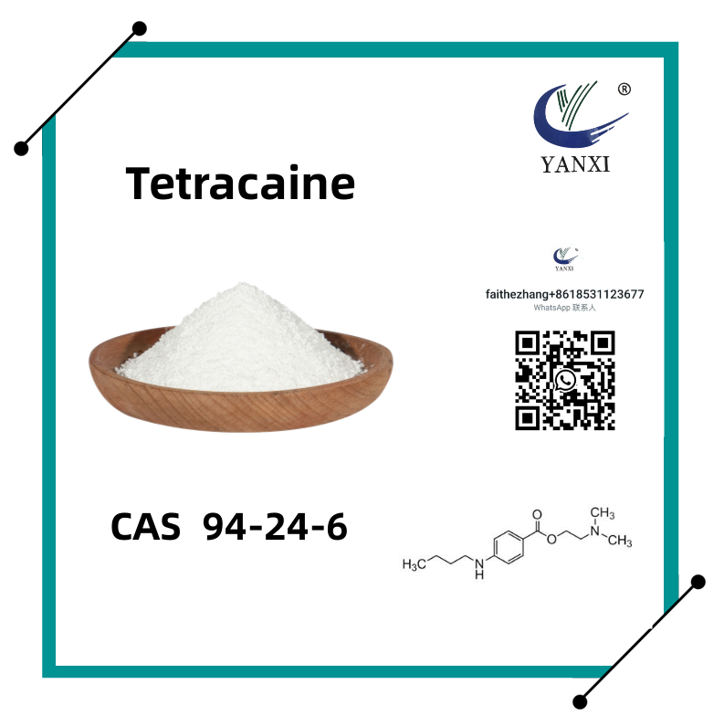 Cas 94-24-6 Tetracaine Amethocaine trong nghiên cứu sinh hóa