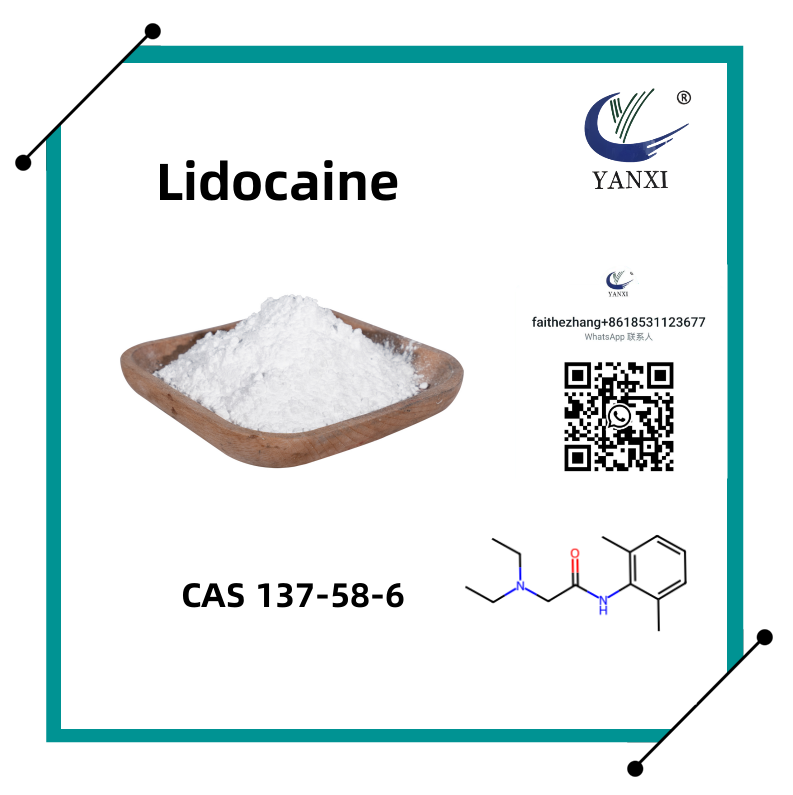 Cas 137-58-6 Lidocaine Xylocaine na Ginamit Para sa Anesthesia