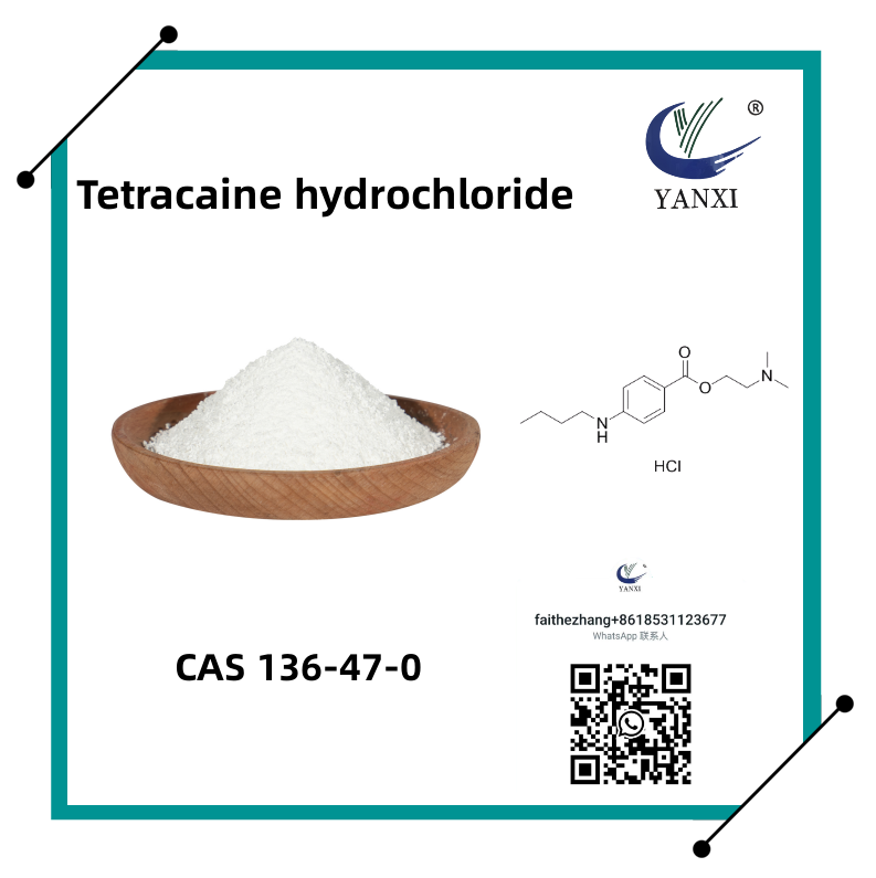 Cas 136-47-0 clorhidrato de tetracaína/pantocaína